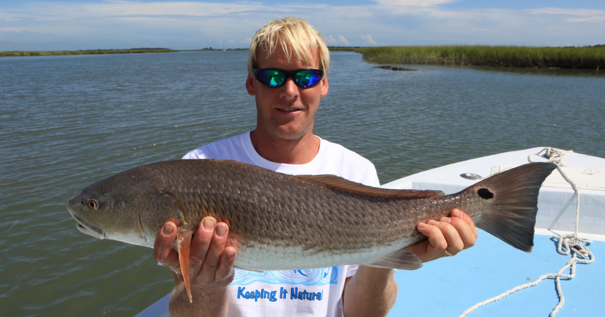 Ecotourism in SC – South Carolina Public Radio